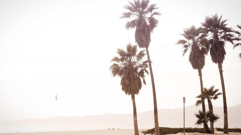 Iowa State Had the No. 2 Seed, the Big 12 Title, and a Missing Star. Then Kentucky Came to Play.