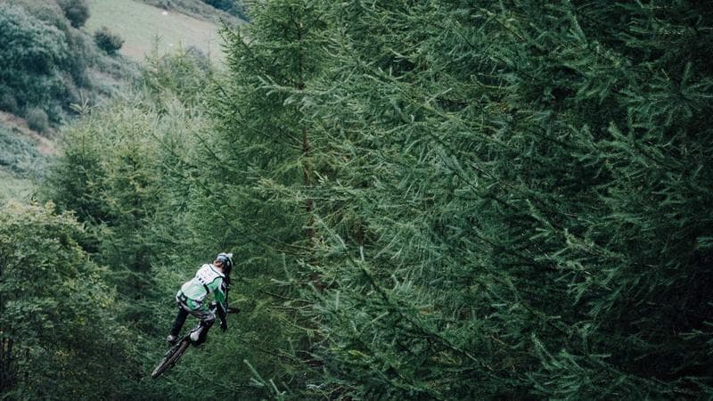 D.C.'s Cherry Blossoms Just Hit the Earliest Peak Bloom on Record — and Nobody Is Celebrating That