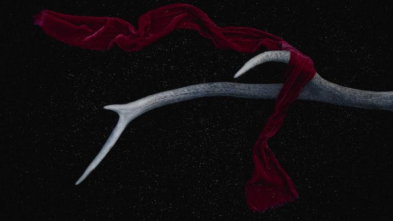 Zootopia 2 Just Did Something Disney Hasn't Done in Years