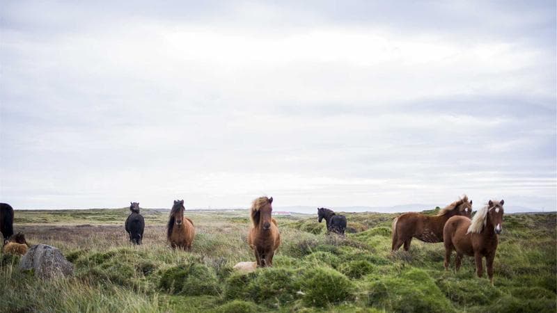 The Government Shutdown Is Wrecking Spring Break Travel — and It's About to Get Worse