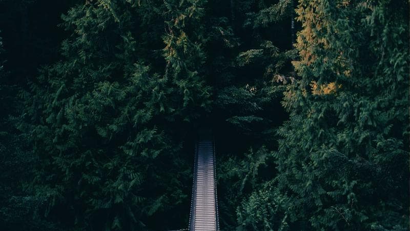 AI Revolution: How Artificial Intelligence Is Changing Everything in 2026