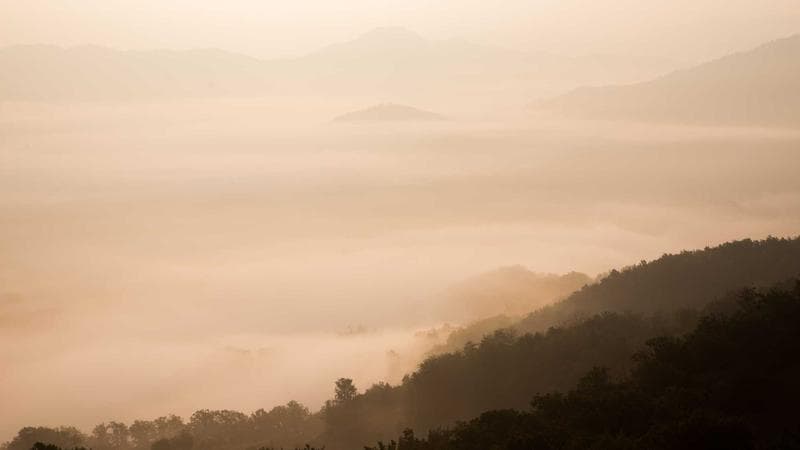 UFC London Ended With a Decision Nobody Loved. That's Kind of the Point of Fighting.