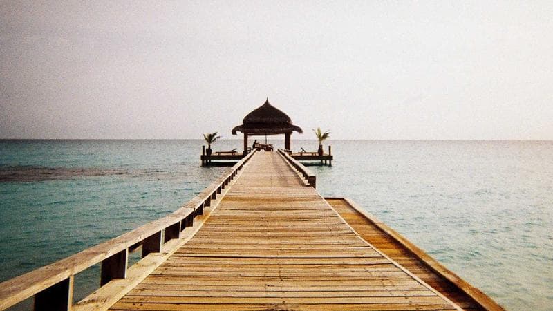 Climate Action Accelerates: Solar Hits Record Lows, Forests Make a Comeback