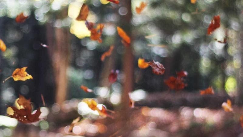 The 2026 Tax Deadline Is Closer Than You Think. Here's What Changed This Year.