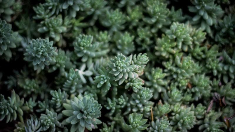 ICE Agents Are Heading to US Airports Monday. Here's What That Actually Means.